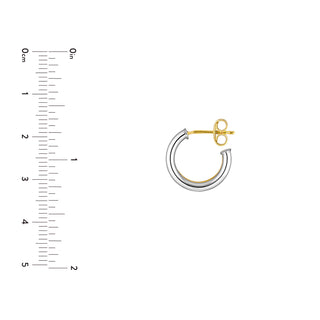 Two-Tone 10mm Double Open Hoop Earrings